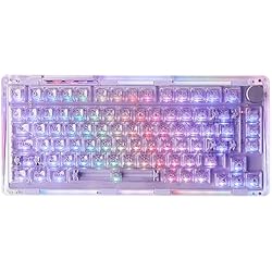 KiiBOOM Phantom V2 パープル キーボード 本体 Amazon.com: KiiBoom Phantom 81 V2 75% Hot Swappable